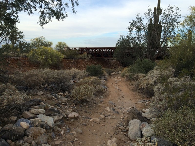 Bridge along the Desert Park Trail