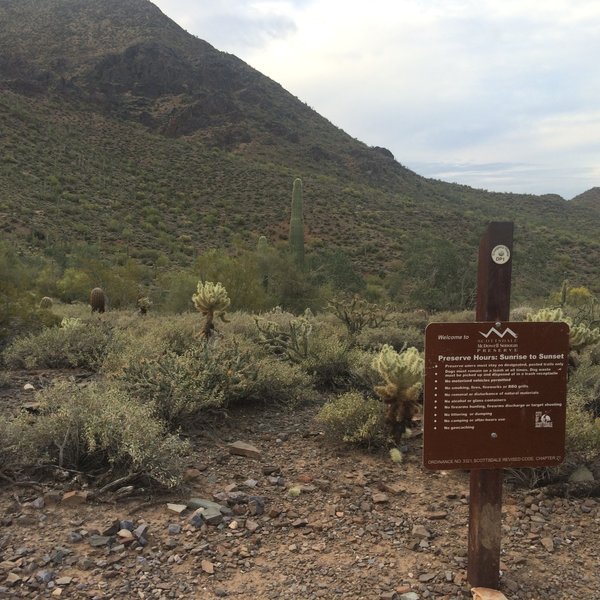McDowell Sonoran Preserve border. From the Desert Park Trail