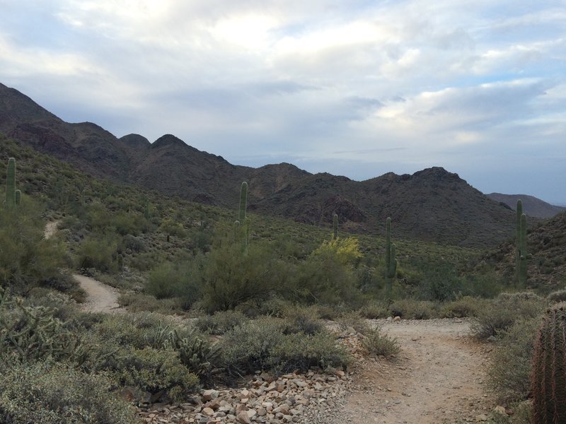 Gateway Saddle from the Gateway Loop Trail