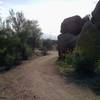 Just leaving Lone Mountain trailhead towards Cholla Mountain Loop