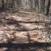 Shot of wide trail on blue loop trail.