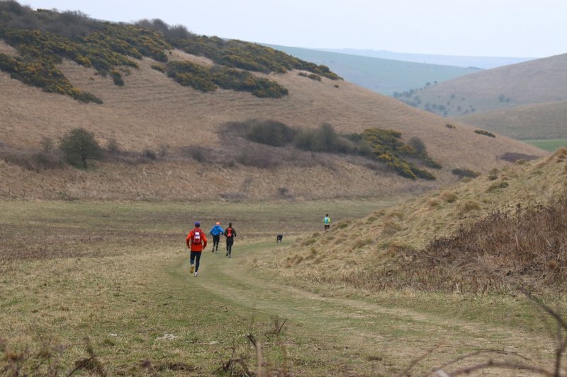 Runners in Moyleman 2015 heading further down into Castle Hill Nature Reserve