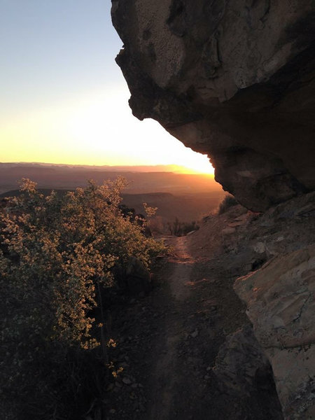 Sunrise on the climb up to the Mesa.  Suicidal Tendencies Trail