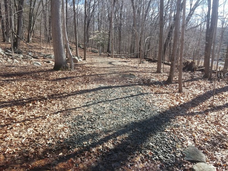 Nice flat section of the Kettletown Blue Trail North Lap