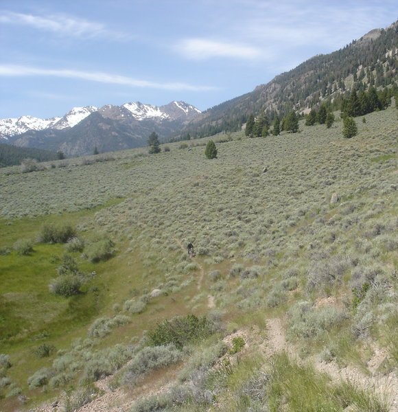 The downhill on the Eastfork of the Salmon River.
