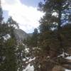 Nothing but trees and mountains on the Palmer Trail