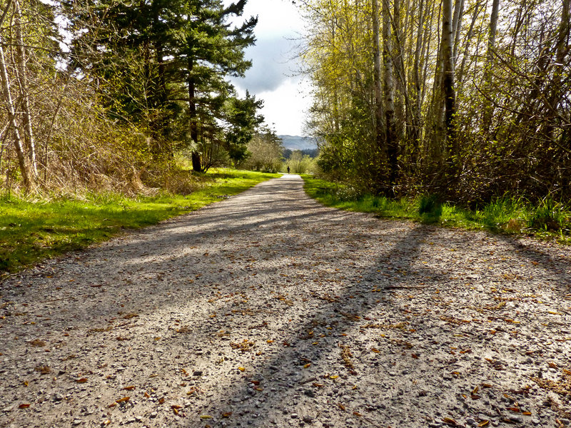 Flat, crushed gravel section of the Lake Padden Loop on a fall day.