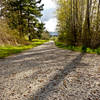 Flat, crushed gravel section of the Lake Padden Loop on a fall day.