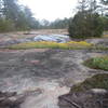 Lichen, wildflowers, and other plant life atop granite outcropping.