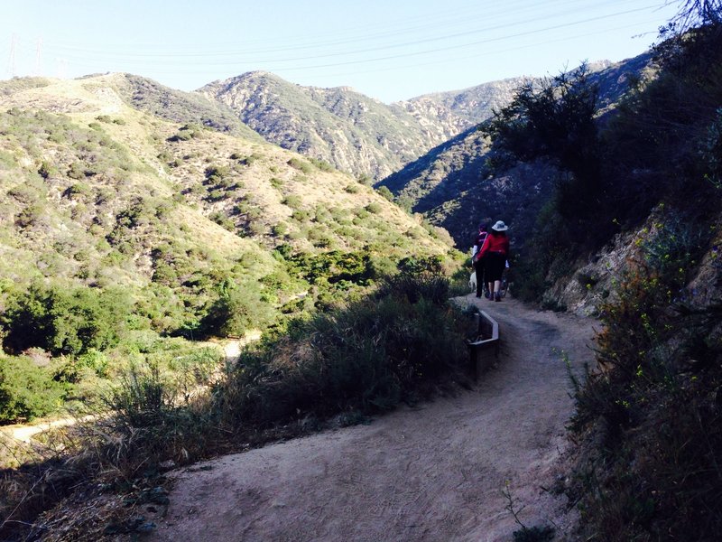 Heading into the more sheltered/scrub brush portion.