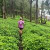 Emerald green makes a great contrast to the black sand beach