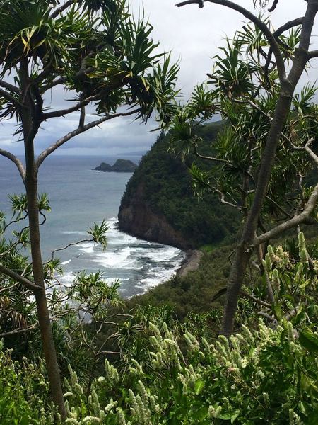 Overlook of the Pololu Valley