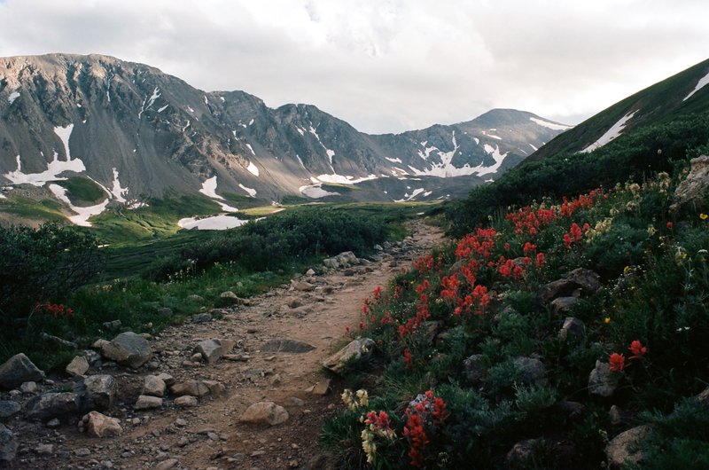 The Path - Grays Peak Trail