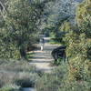 Hiker passing old cog railway parts.