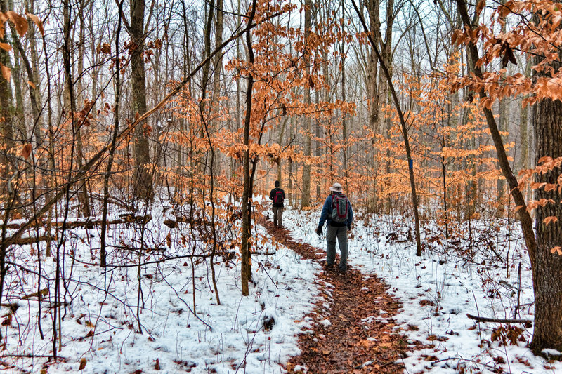 Mammoth Cave National Park