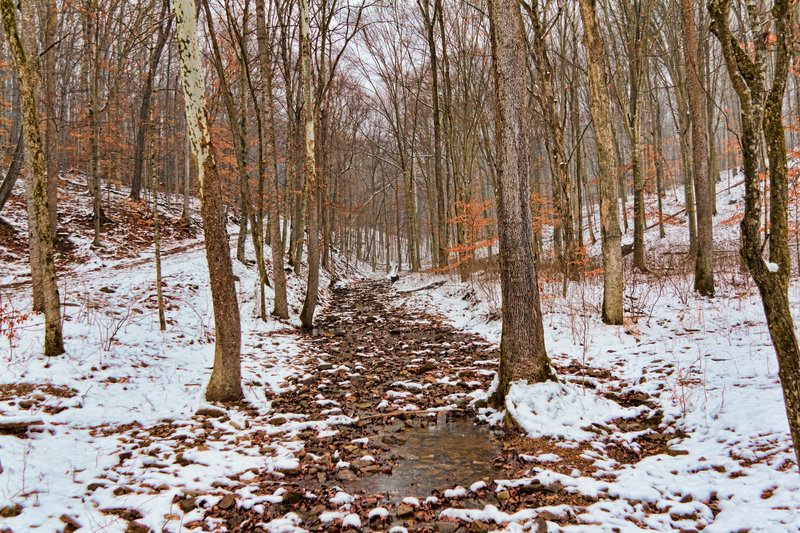 Mammoth Cave National Park