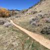 Nice mellow singletrack follows the creek all the way up the gulch on the Fivemile Gulch Trail.