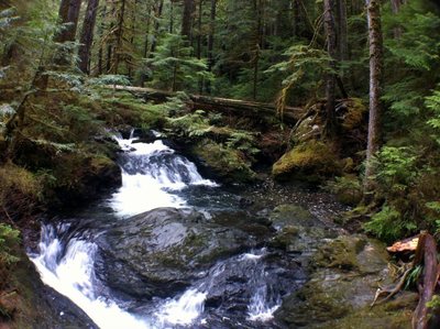 Private pool?!?!  On the Lake TwentyTwo Trail