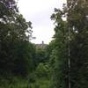 Tower from afar - on the Hubbard Park White Trail