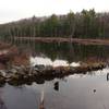 Binney Pond view