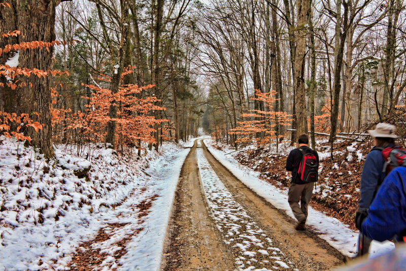 Mammoth Cave National Park on the Buffalo Creek Trail