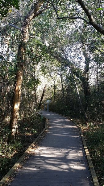 Part of the nature trail close to the park service building is decking material / boardwalk.