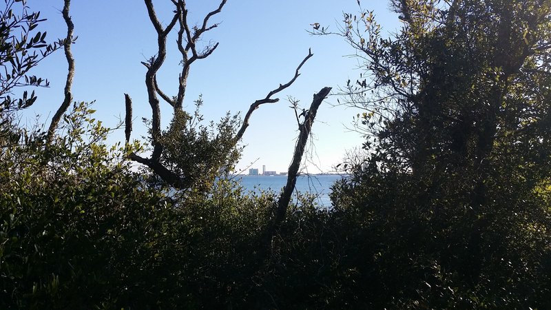 View of Pensacola Beach from the fishing trail - Naval Live Oaks