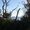 View of Pensacola Beach from the fishing trail - Naval Live Oaks