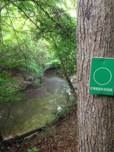 Gurgling creek at the trailhead.