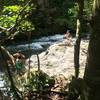 Wading the Iao Stream