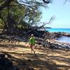 A brief forested section between the lava flows