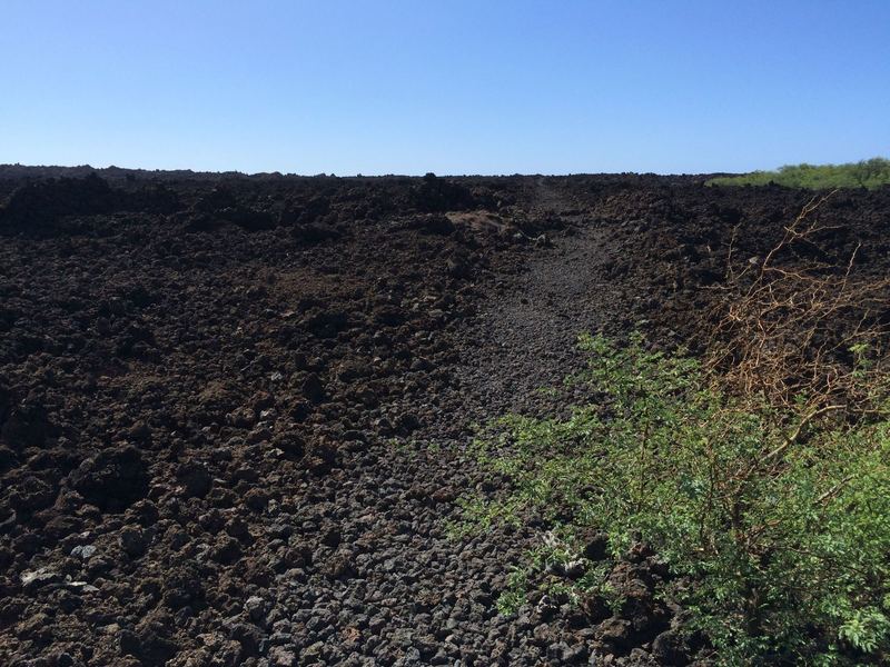 That's about as much vegetation as you'll find on the King's Highway!