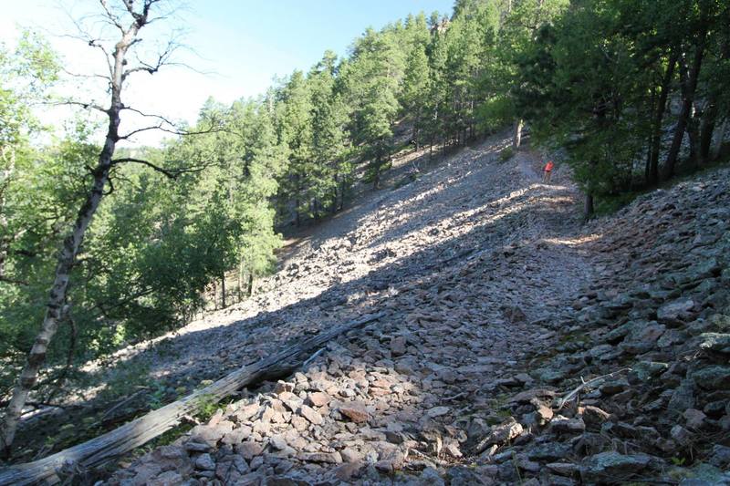 Scree field on the west side.