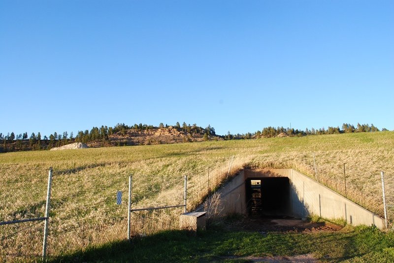 Tunnel under the interstate.