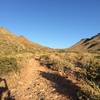 Looking back at Windgate Pass