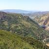 View along Pleasants Ridge Trail