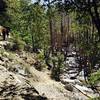 Spring colors are beautiful along the riverbed.  The different ecologies along this hike are one of its strongest features.