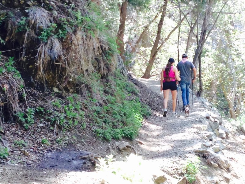 Sections of the trail at this point can be slick due to water seeping out of the uphill side and flowing across and down to the riverbed.