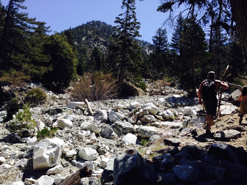 Keep an eye on the trail in this section - it's less clear on the way up, so if you're (understandably) distracted by the scenery, then you might find yourself off in the riverbed and not on the trail.