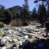 Keep an eye on the trail in this section - it's less clear on the way up, so if you're (understandably) distracted by the scenery, then you might find yourself off in the riverbed and not on the trail.