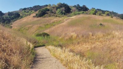 The Puente Hills in Schabarum Park
