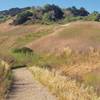 The Puente Hills in Schabarum Park