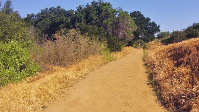 The easy stuff on Powder Canyon Trail