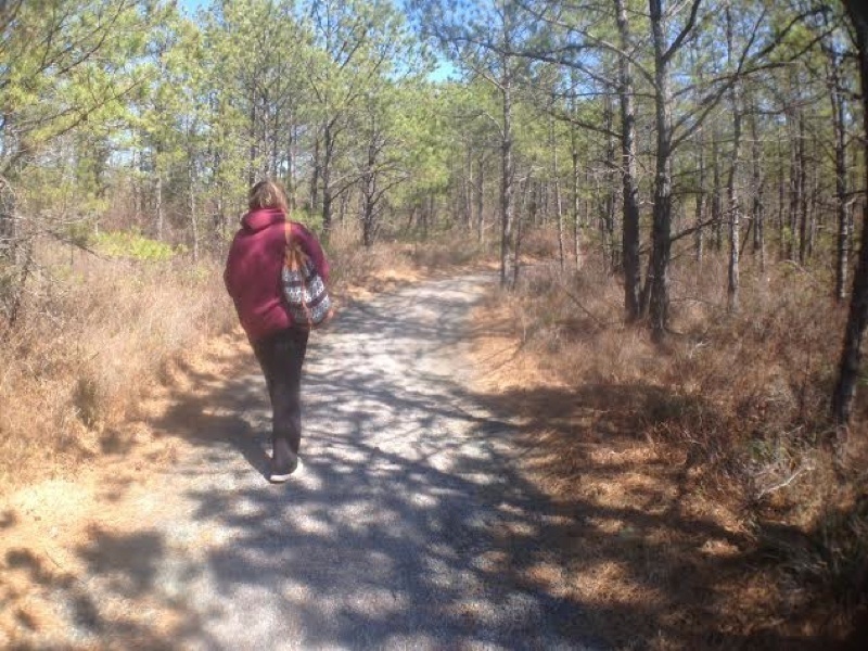 Towards the end of the trail, you get a view that allows you to see the beautiful trees of the Pine Barrens.