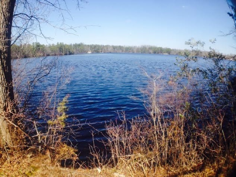 The scenery overlooking Atsion Lake is beautiful.