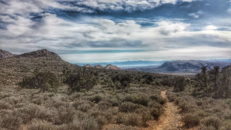 Close to the finish of the White Rock Loop Trail!