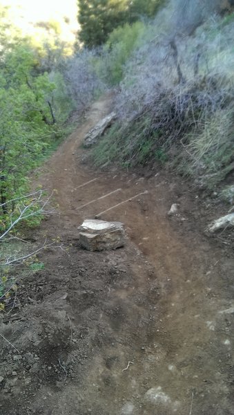 Steep area above the creek crossing