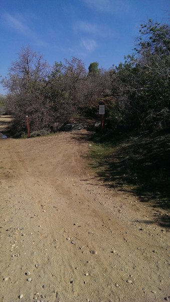 Trail split, going to the right on BST (BoSho Trail)