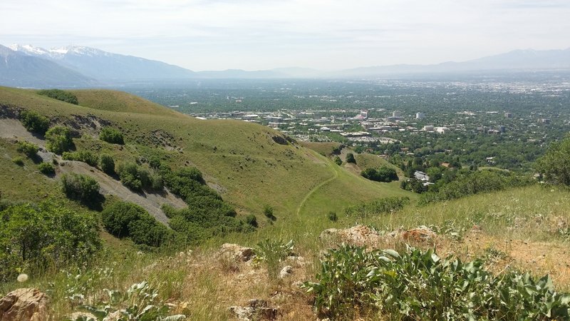 Looking at the University of Utah from Bonneville Shoreline Trail