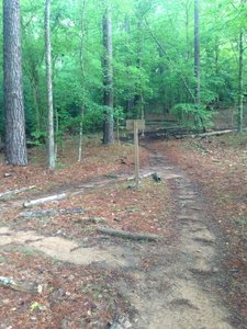 Intersection of Perimeter, Creekside and Labyrinth trails. The directional sign faces you on the descent, so it can be confusing where to go when you ascend.